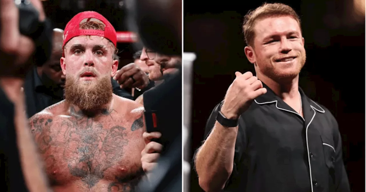 Jake Paul's Company Slams Canelo Alvarez After Fight Collapse