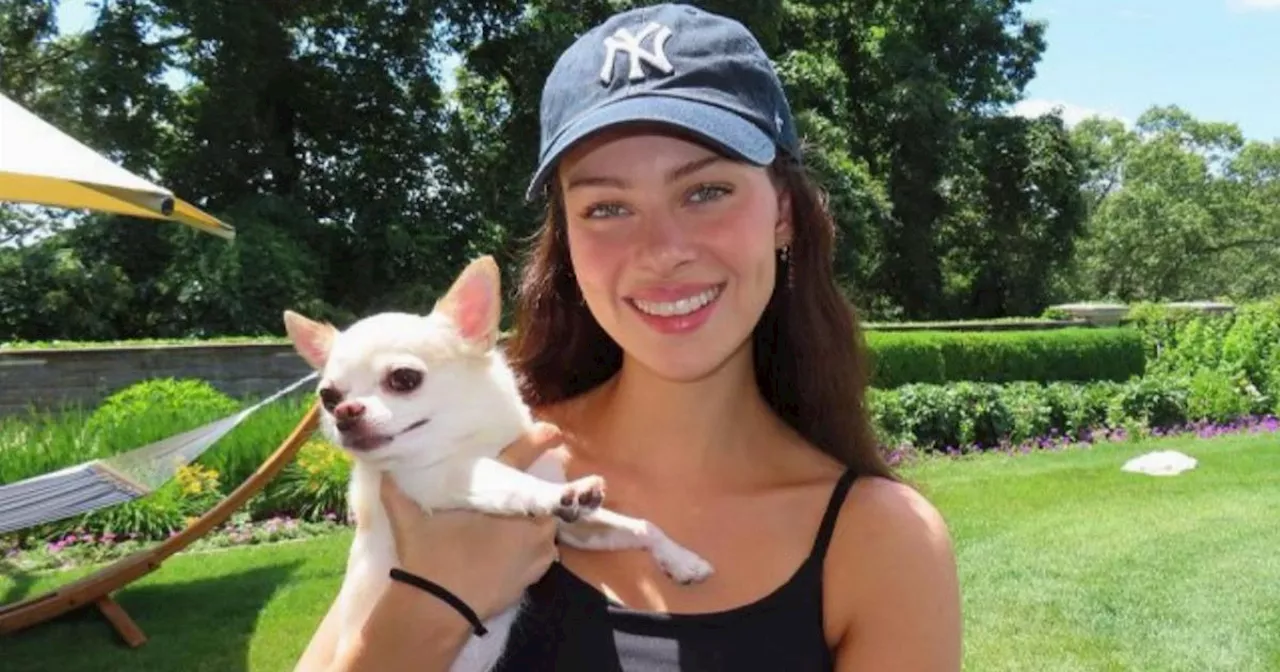 Nicola Peltz Sues Dog Groomer Over Chihuaua's Death