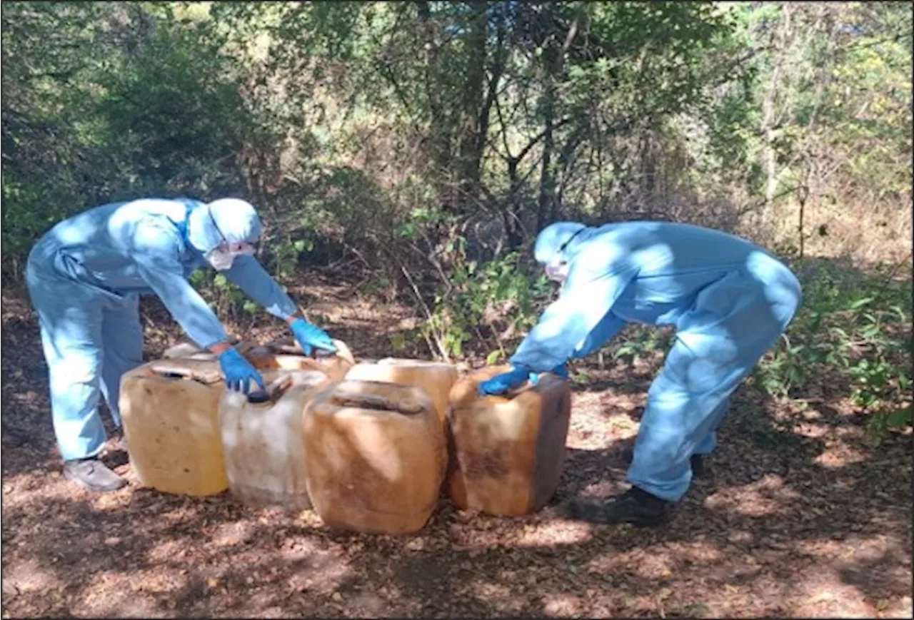 Ejército mexicano destruye dos narcolaboratorios en Sinaloa y Michoacán