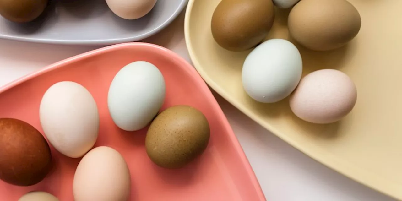 Eggs: A Potential Weapon Against Alzheimer's