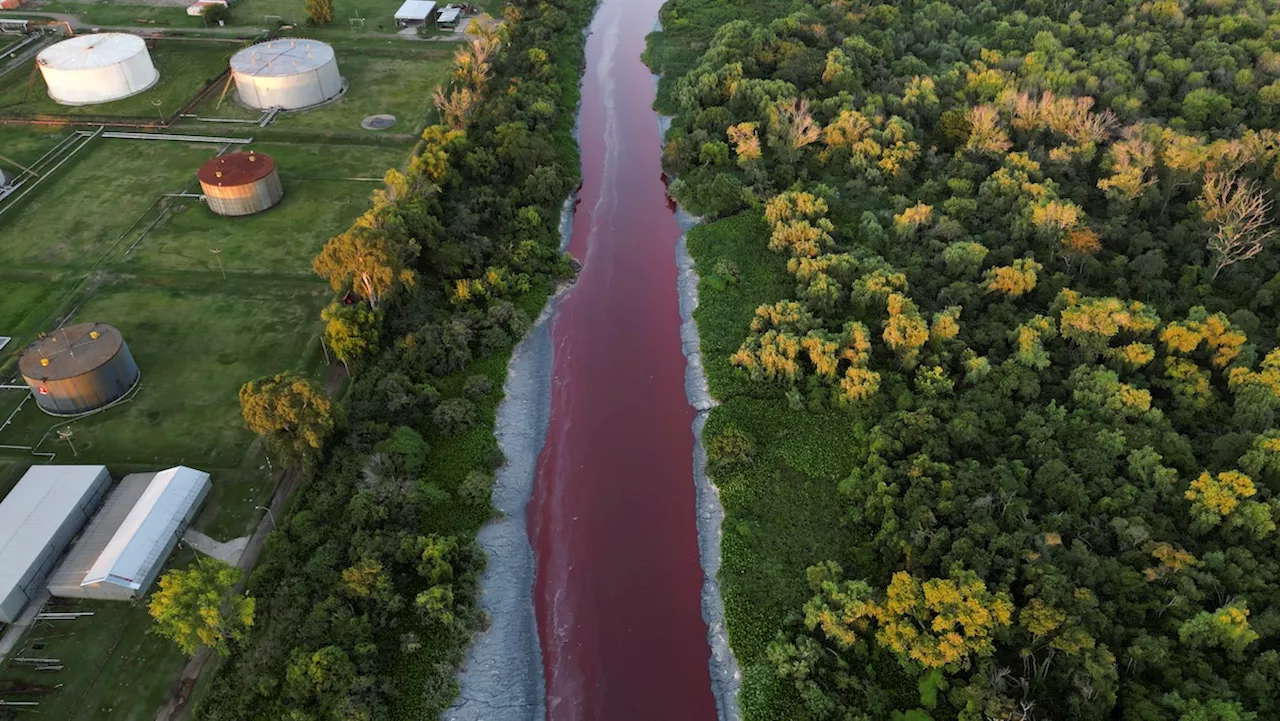 ‘It looks like a stream of blood.' A river near Buenos Aires turns red, sparking fears of toxic leak