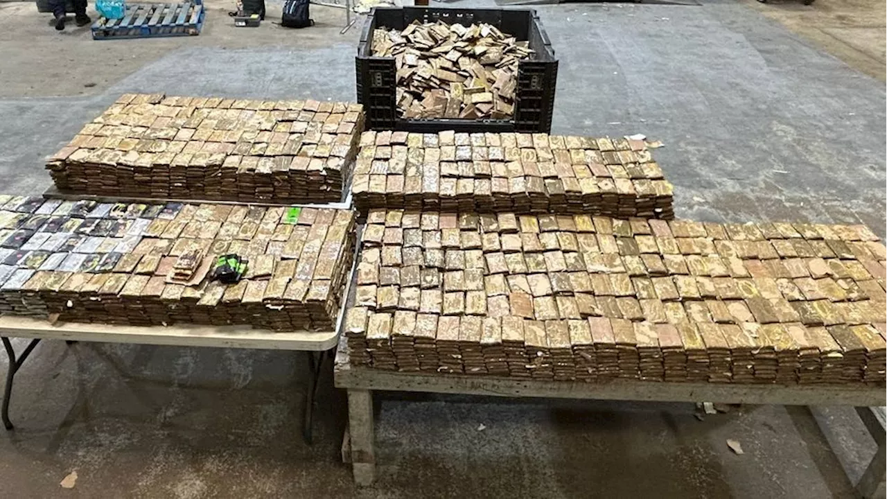 Nearly $20 Million in Meth, Heroin Found Hidden in Cucumber and Jalapeño Shipment