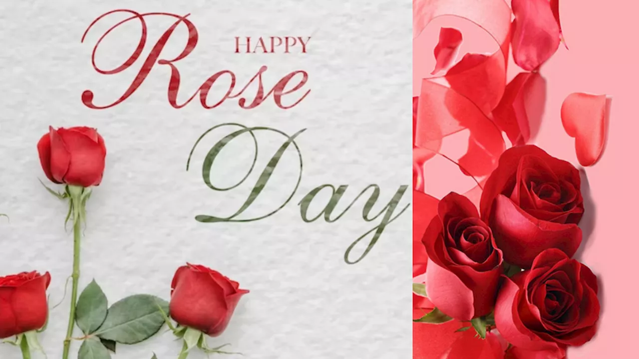 Happy Rose Day 2025: रोज़ डे पर इन मैसेज से करें अपने प्यार का इजहार, पूरा दिन बन जाएगा खास