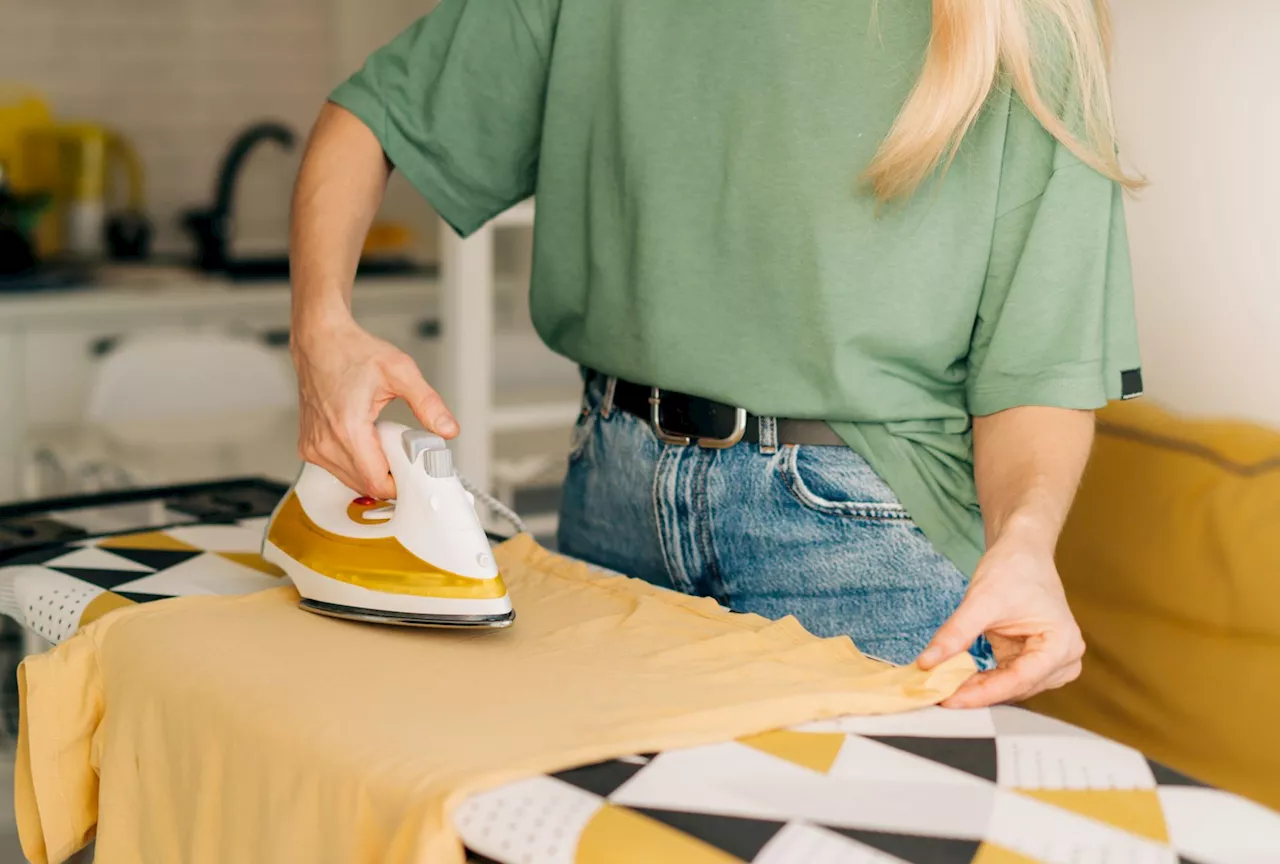 The Wages for Housework Debate: A Continuing Issue