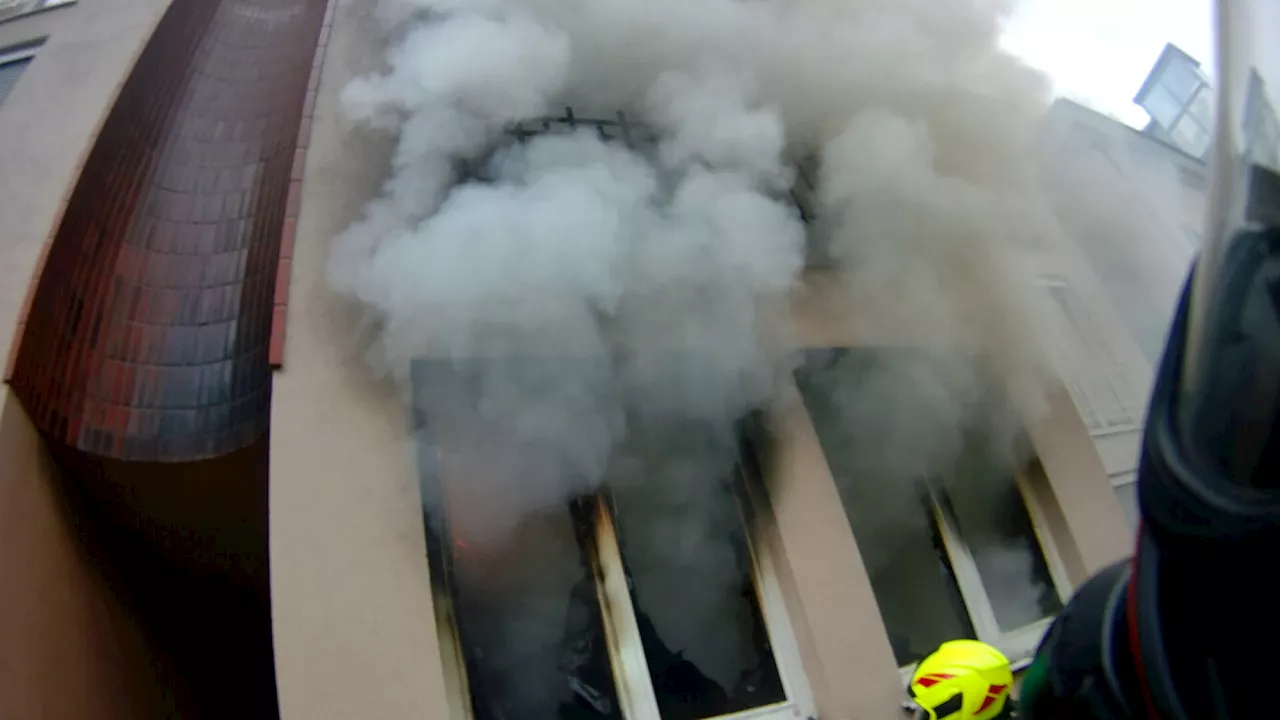 Badener Feuerwehr rettete Personen und Tiere