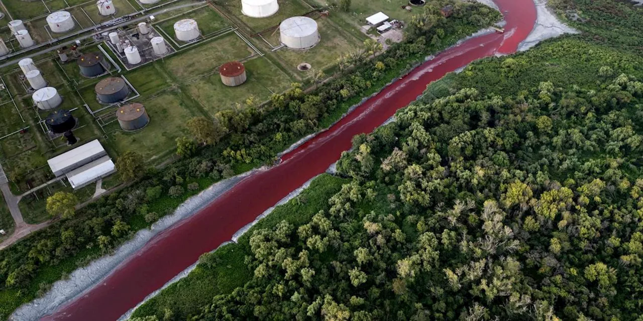 &bdquo;Fluss aus Blut&ldquo;: Bach in Argentinien f&auml;rbt sich rot