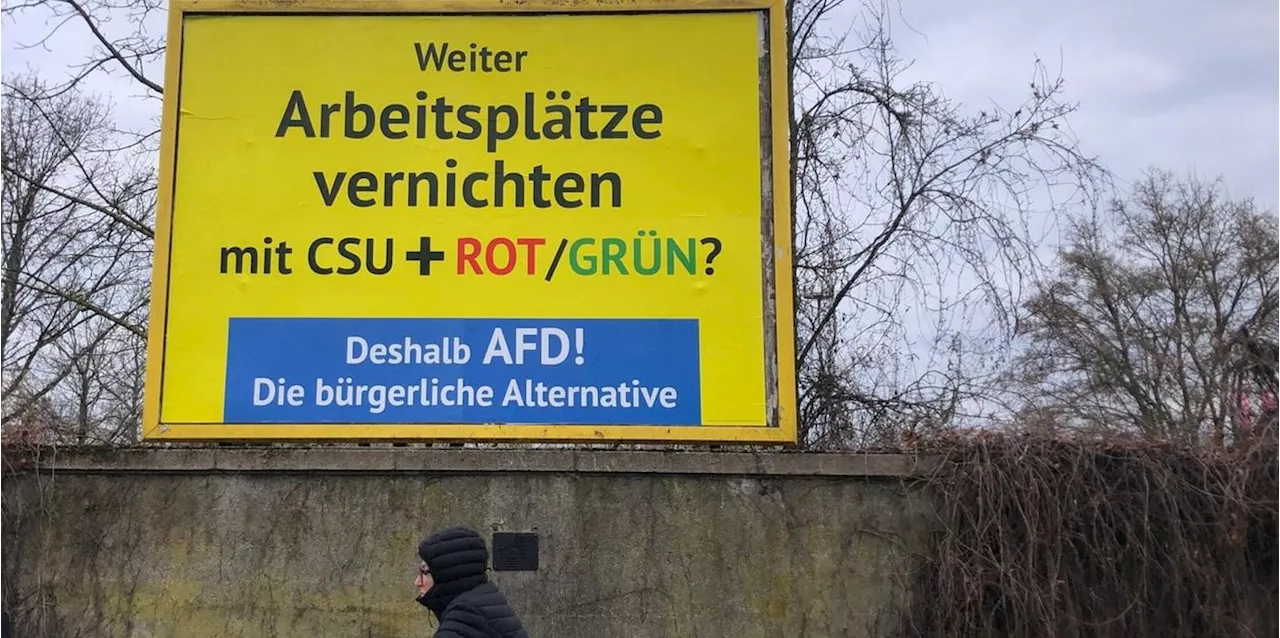 Millionen-Spende für AfD-Wahlkampf: Plakate mit Attacken auf Union, SPD und Grüne