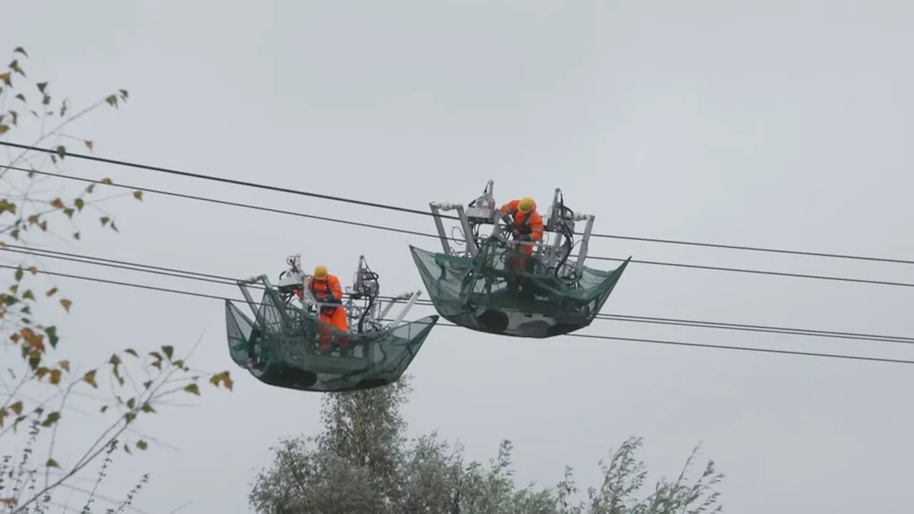 Minister Hermans Vermindert Bezwaren tegen Elektriciteitsnet Uitbreiding