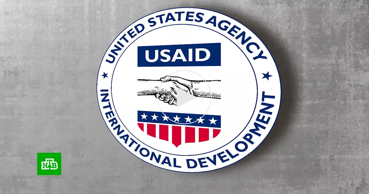 Скандал с USAID: США финансировали не только демократию, но и СМИ