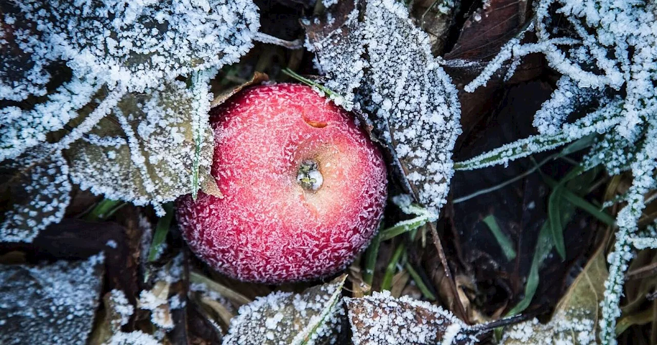 So gelingt der Start ins Gartenjahr