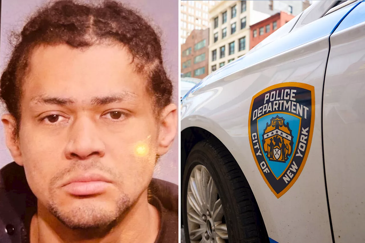  Career NYC crook who has dodged jail despite dozens of burglary busts is finally held without bail