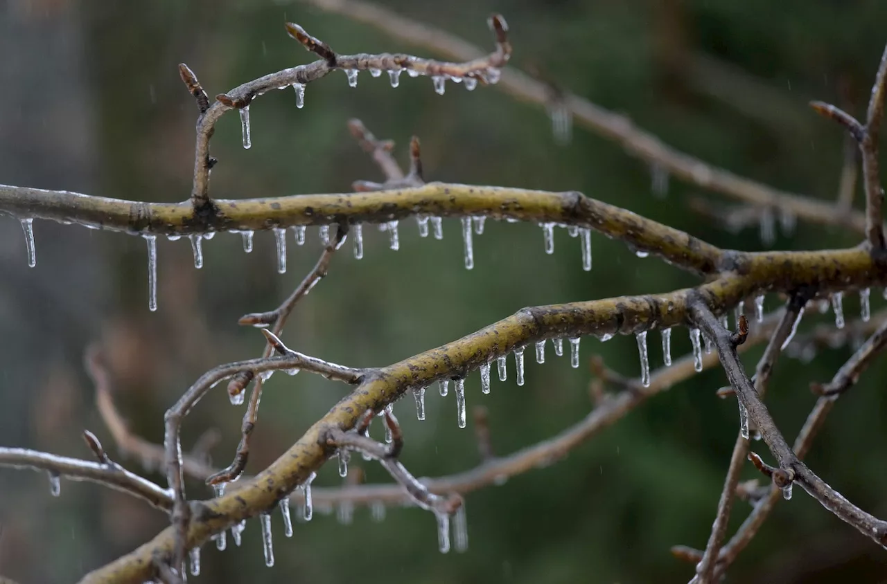 See when more snow, freezing rain, sleet is expected to hit Pa.: forecasters