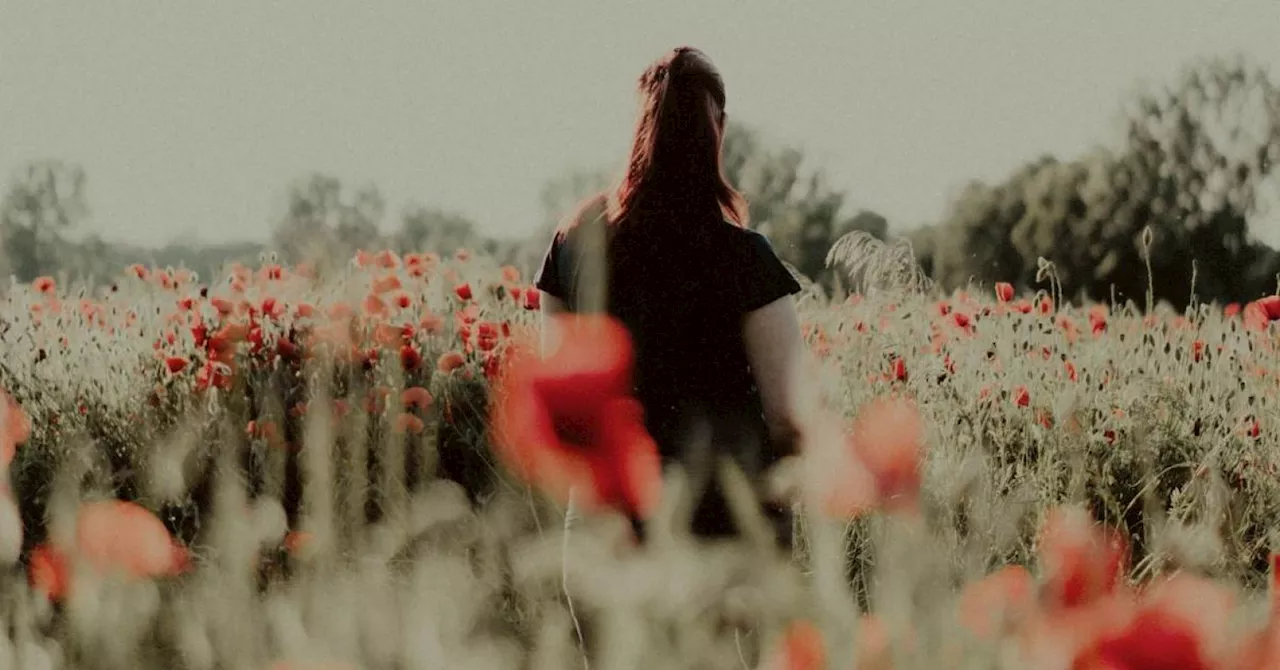 The Tall Poppy Syndrome: Understanding and Challenging the Resentment of Success