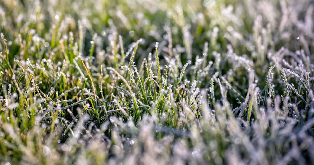 Ireland Braces for Cold Weekend with Frost and Icy Patches