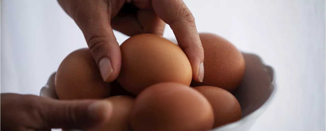 Scientists Discover the Perfect Egg Cooking Method