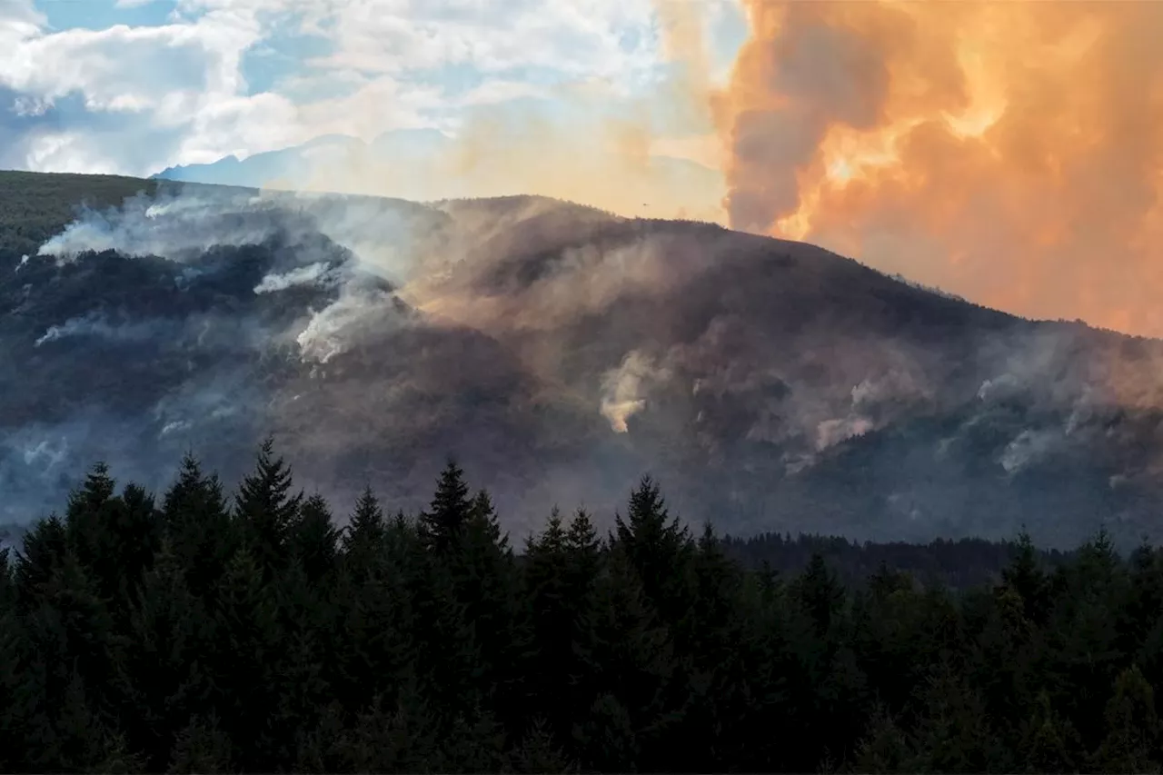 Argentine : des feux de forêts toujours actifs en Patagonie, 25 000 hectares touchés en deux mois