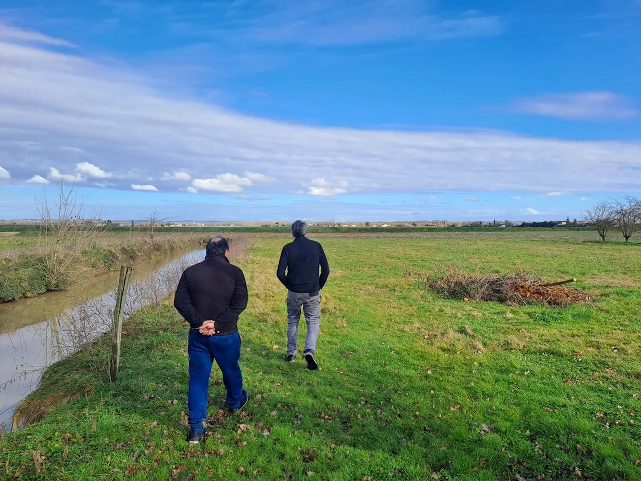 « Ils vont défigurer notre plaine de Garonne » : à Meilhan, 30 hectares de panneaux photovoltaïques à 4 mètres de haut