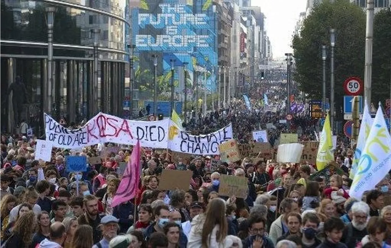 Les ONG environnementales sous le feu des critiques à Bruxelles