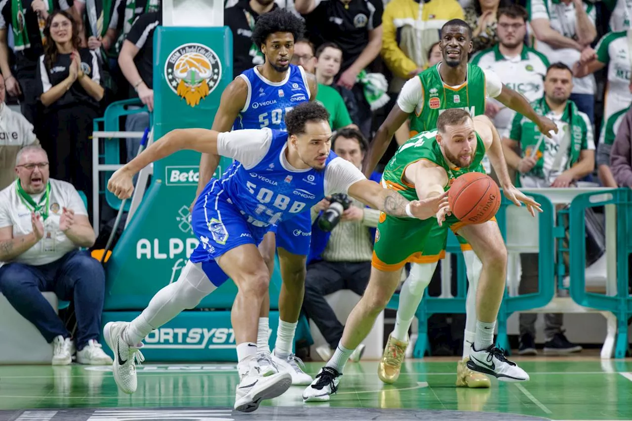 Stade Rochelais Basket. Mathieu Boyer (Le Portel) : « Honnêtement, Julien Cortey m’a changé »