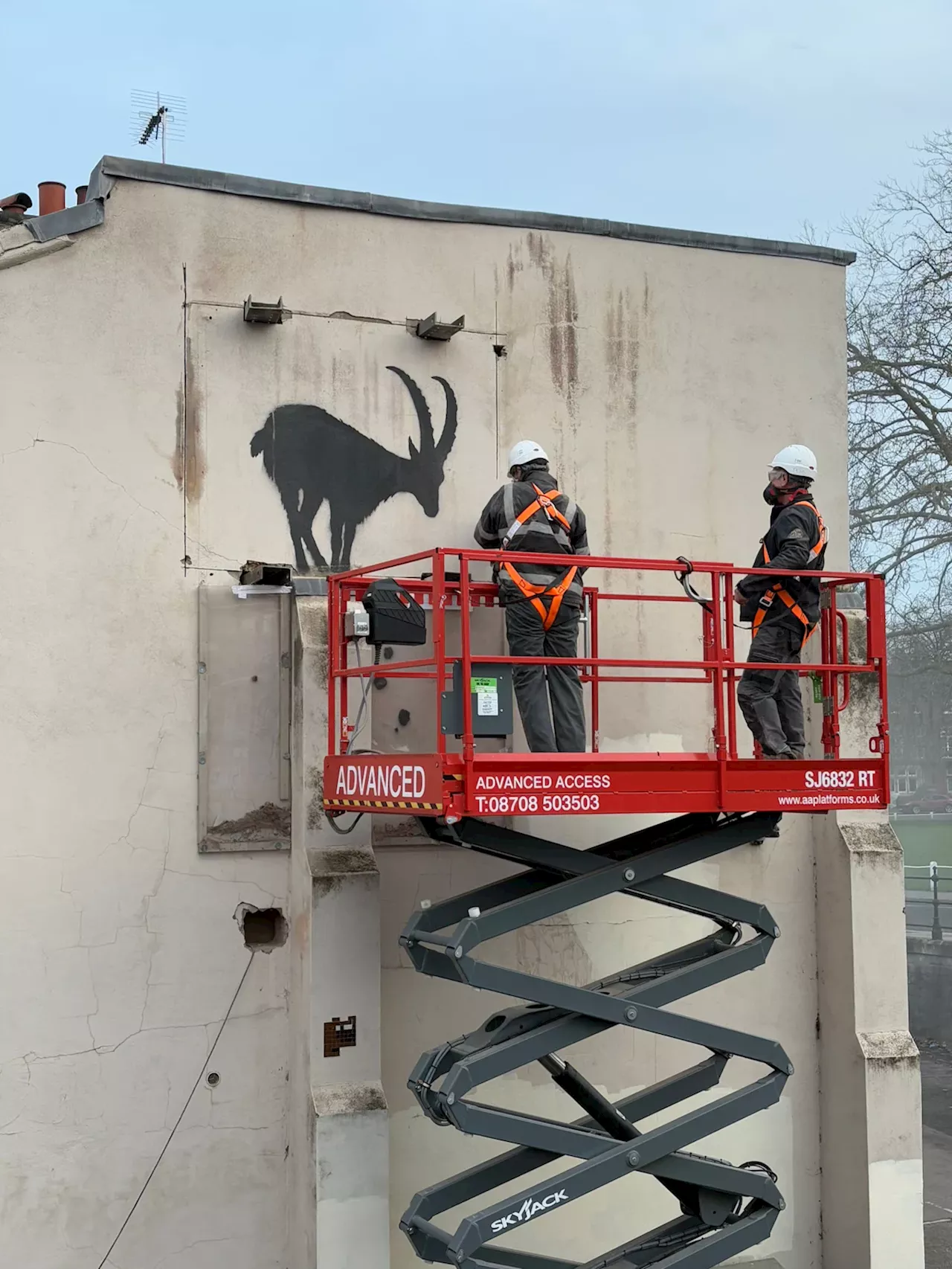 Banksys Steinbock verschwindet aus Kew