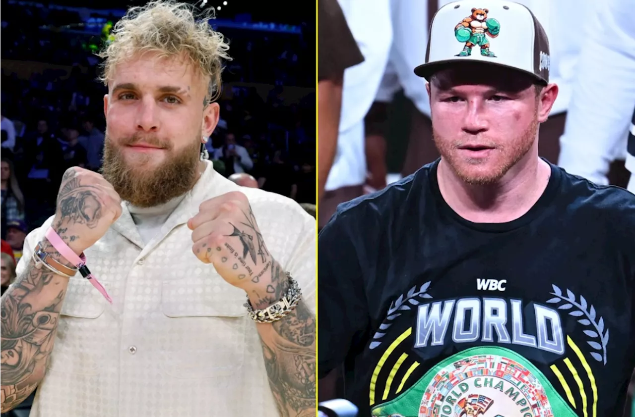 Jake Paul vs. Canelo Alvarez Mega-Fight Not Yet Confirmed, Says Advisor