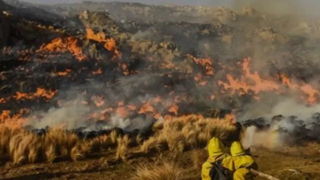 Incendios en Corrientes: Focos Desactivados y Control Activo