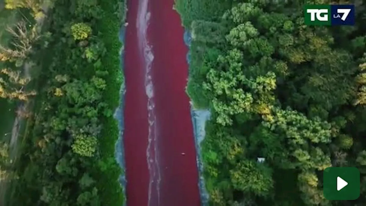 Fiume tinto di rosso nell'area di Buenos Aires: le autorità indagano