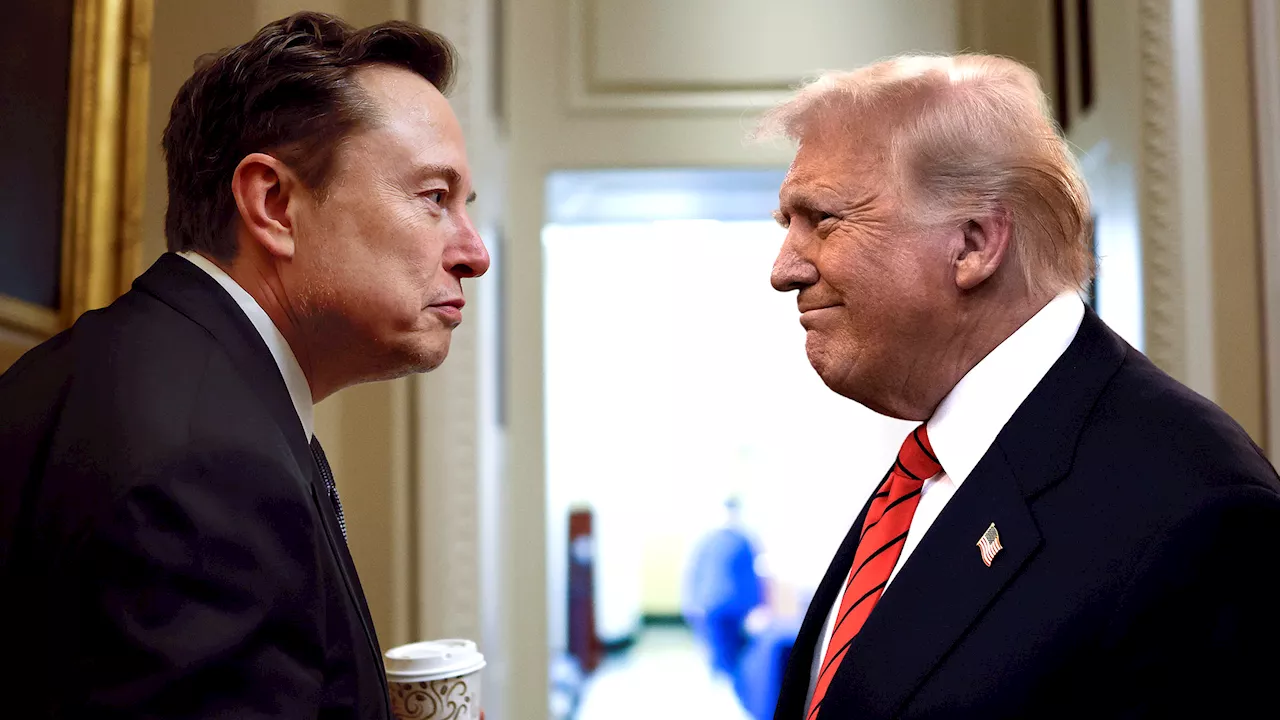 Trump Struggles to Recall Elon Musk's Relation to Him