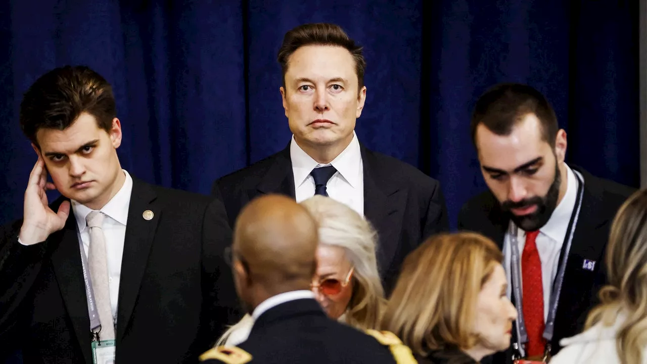 Elon Musk's Reign of Terror: A Bureaucratic Purge