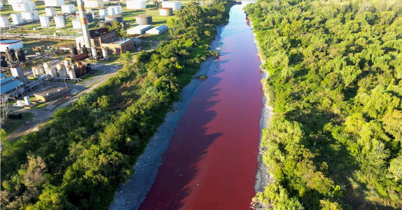 Rio fica vermelho vivo em cidade próxima a Buenos Aires; veja fotos