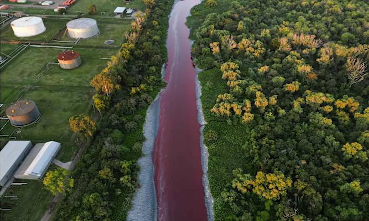 Argentina Stream Turns Crimson Red, Sparking Fears of Chemical Dumping