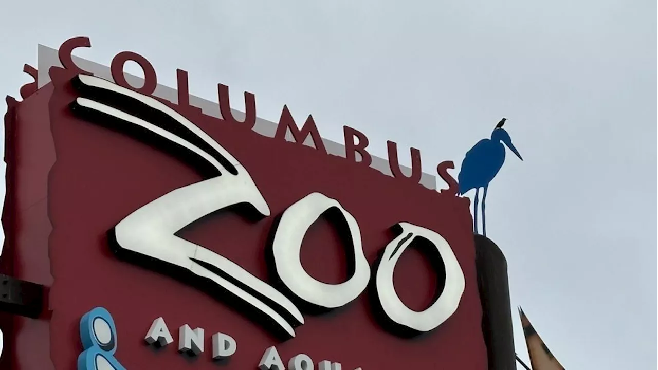 Columbus Zoo Career Pathways Program Offers Students Real-World Work Experience