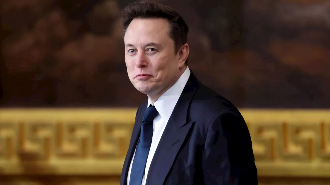 Elon Musk's 'Doge' Department Faces Backlash Over Government Spending Scrutiny