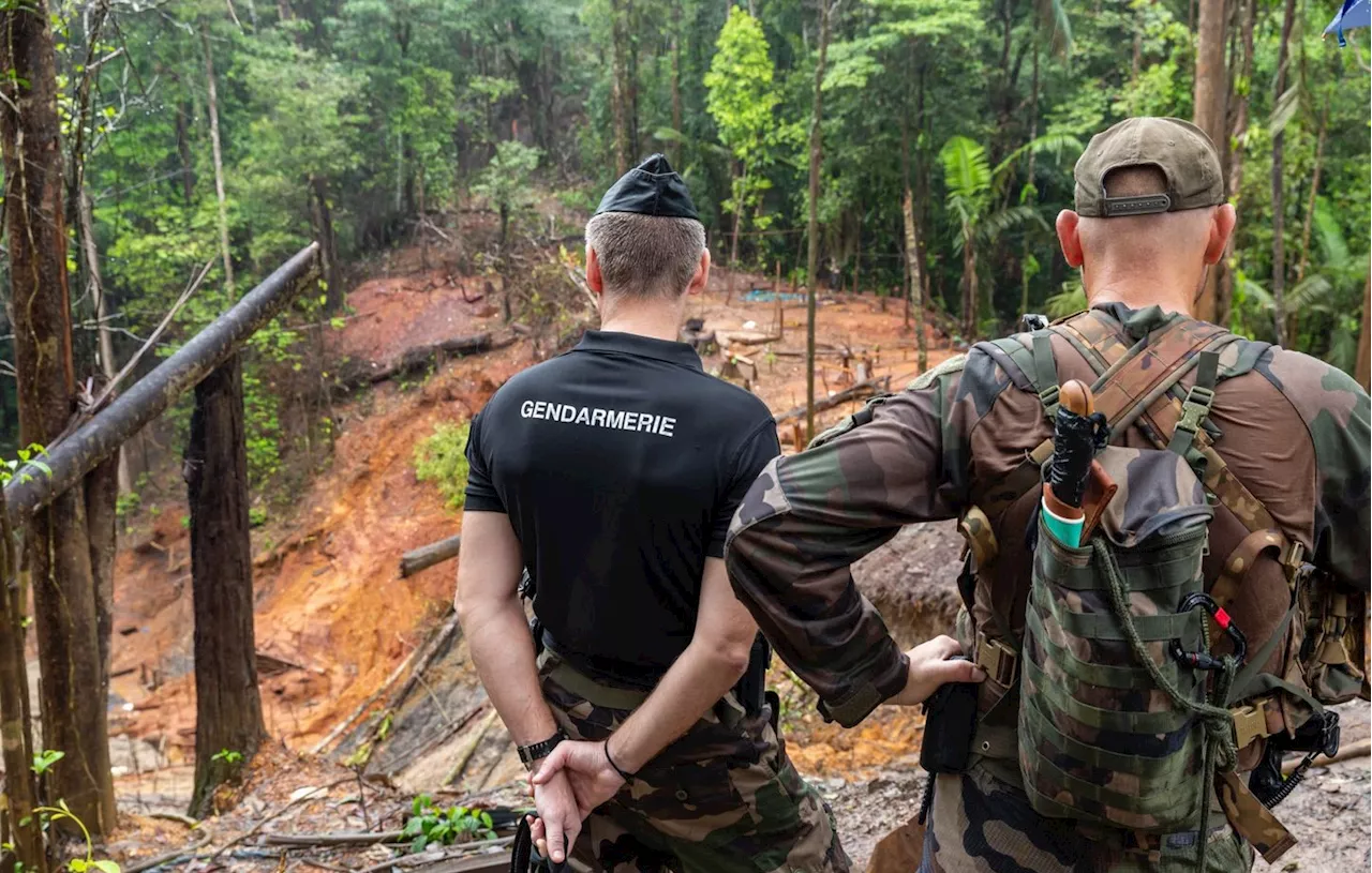 La Guyane: diminution des homicides, mais toujours le territoire le plus touché par la criminalité en France