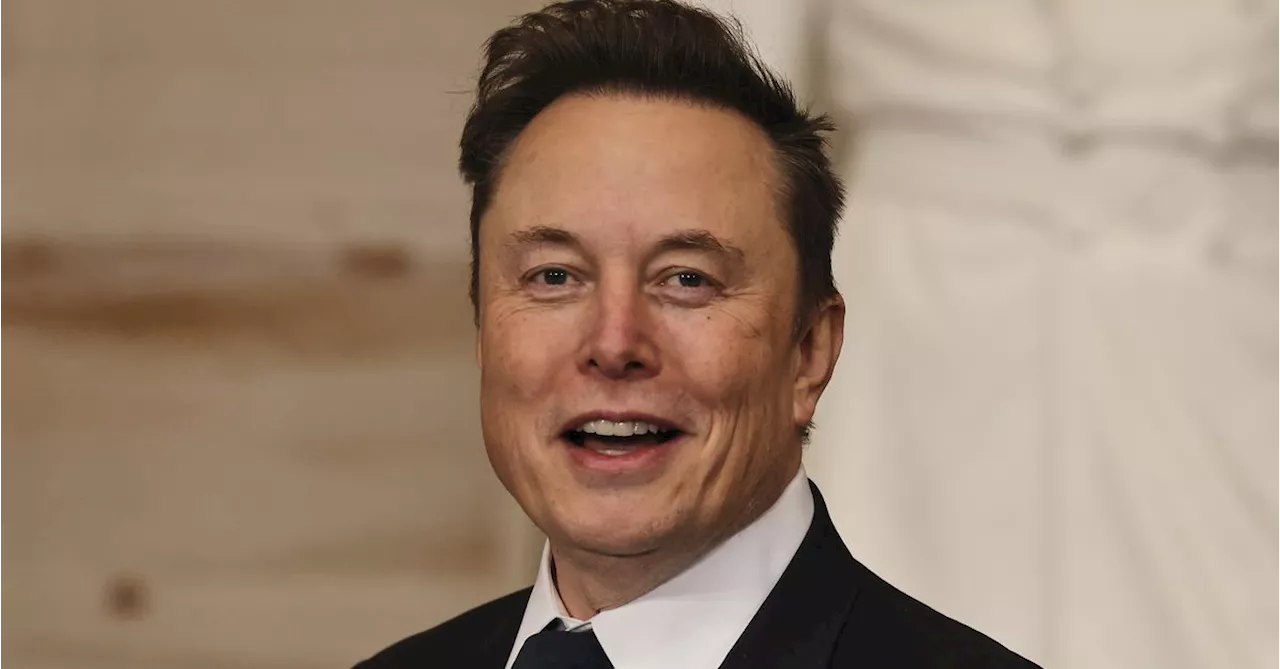 Elon Musk says he does not have plans to buy TikTok