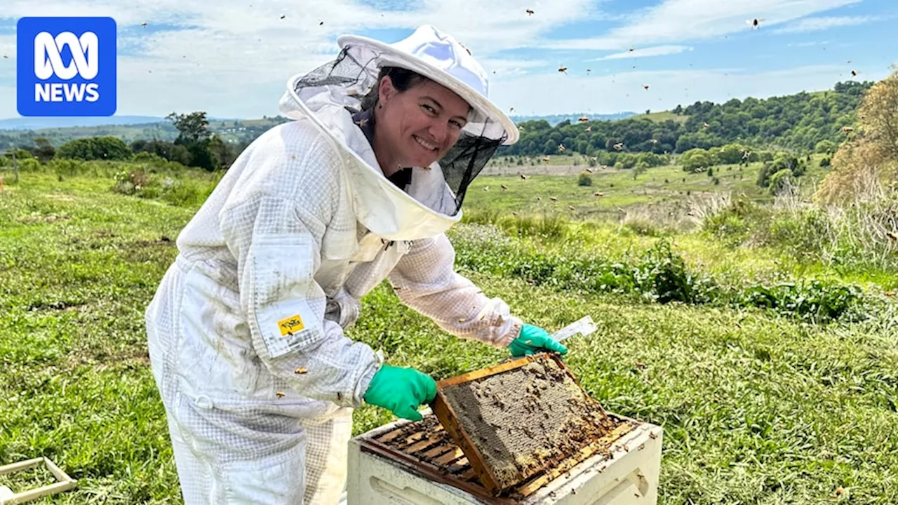 Beekeepers Seek Chemical-Free Solutions to Varroa Mite Threat