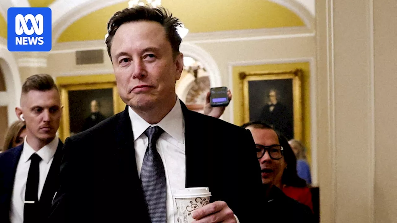 Judge Blocks Musk's Government Efficiency Team From Accessing Treasury Data