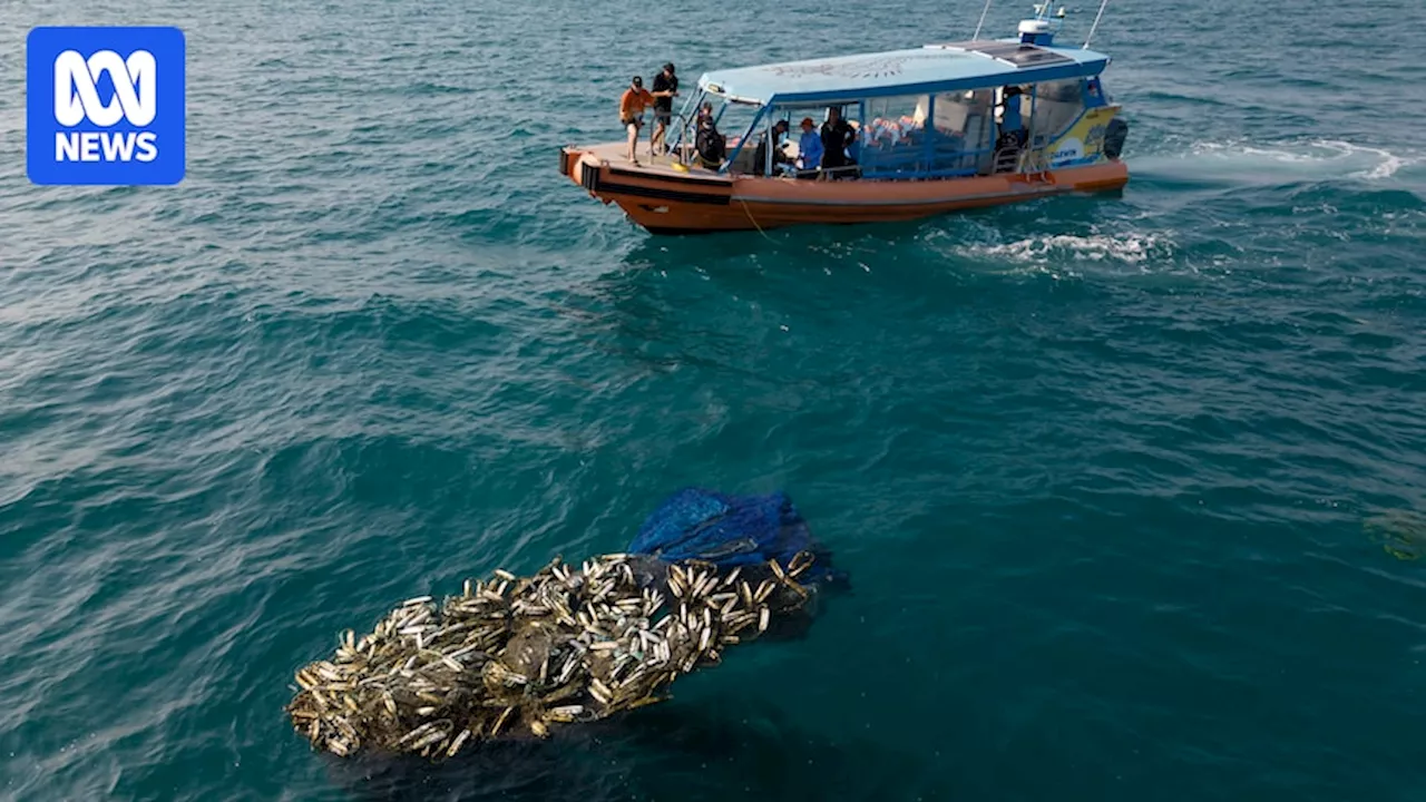 Rangers use drones to survey north Australia coastline for ghost nets