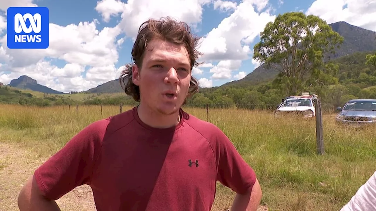 Teenage hiker found at Mount Barney after becoming lost for three days