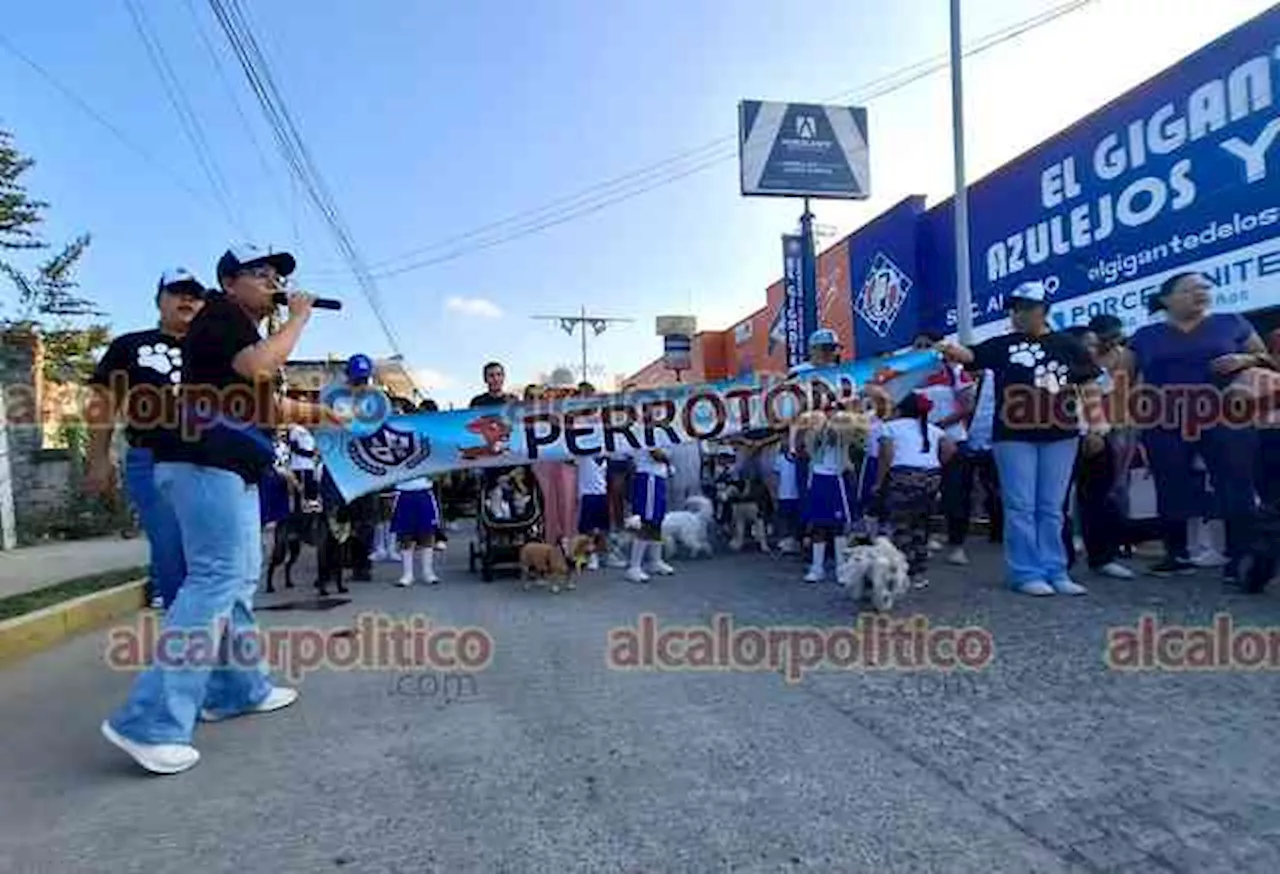 Caminata “Perrotón” para fomentar el cuidado de las mascotas, en Álamo