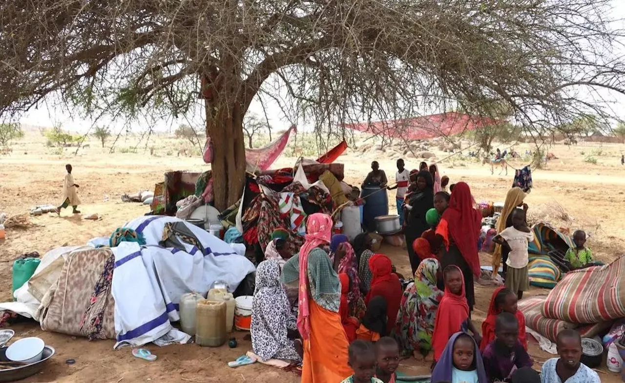 Sudan: How to Help The Sudanese Who Are Rebuilding 'From Scratch'