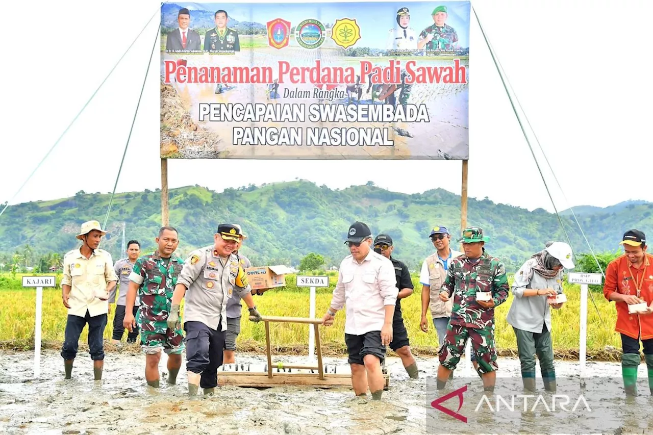 Pemkab Gorontalo Utara Targetkan Tanam Padi Sawah 14.430 Hektare di 2025