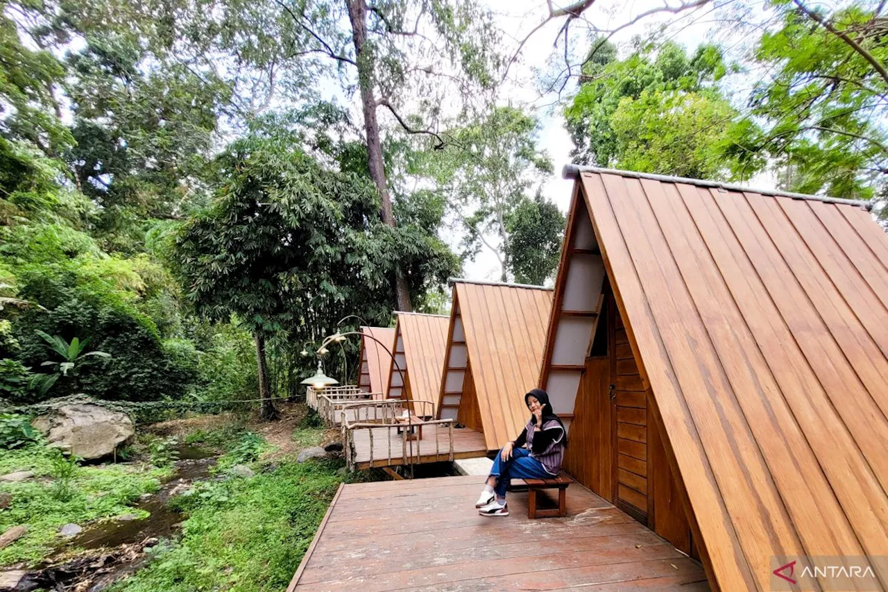 Wisata Alam Teduh Glamping di Bogor