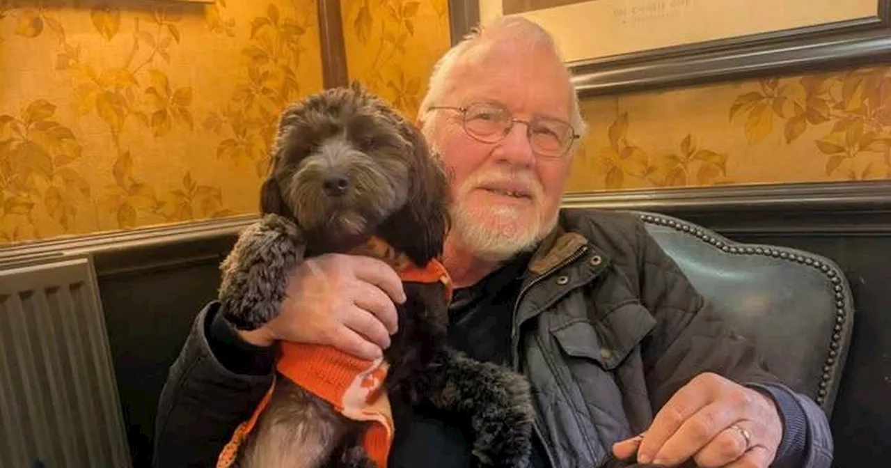 Widowed Pensioner Finds Canine Companionship After Heartwarming Letter to Neighbors