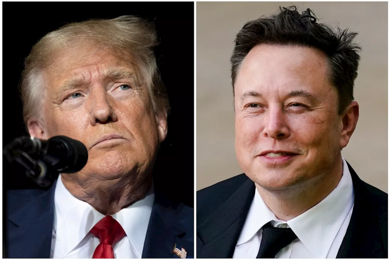 Musk als Präsident: Löst Time-Cover einen Streit zwischen Trump und seinem Berater aus?