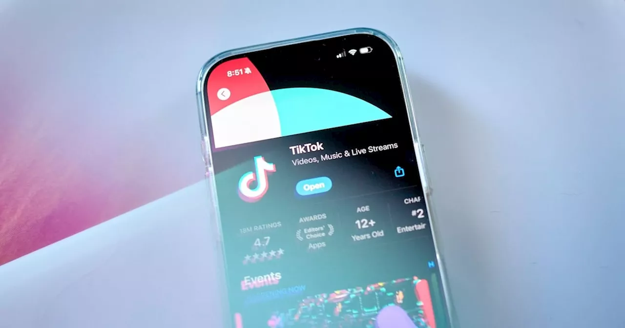 Musk Says No Interest in Buying TikTok