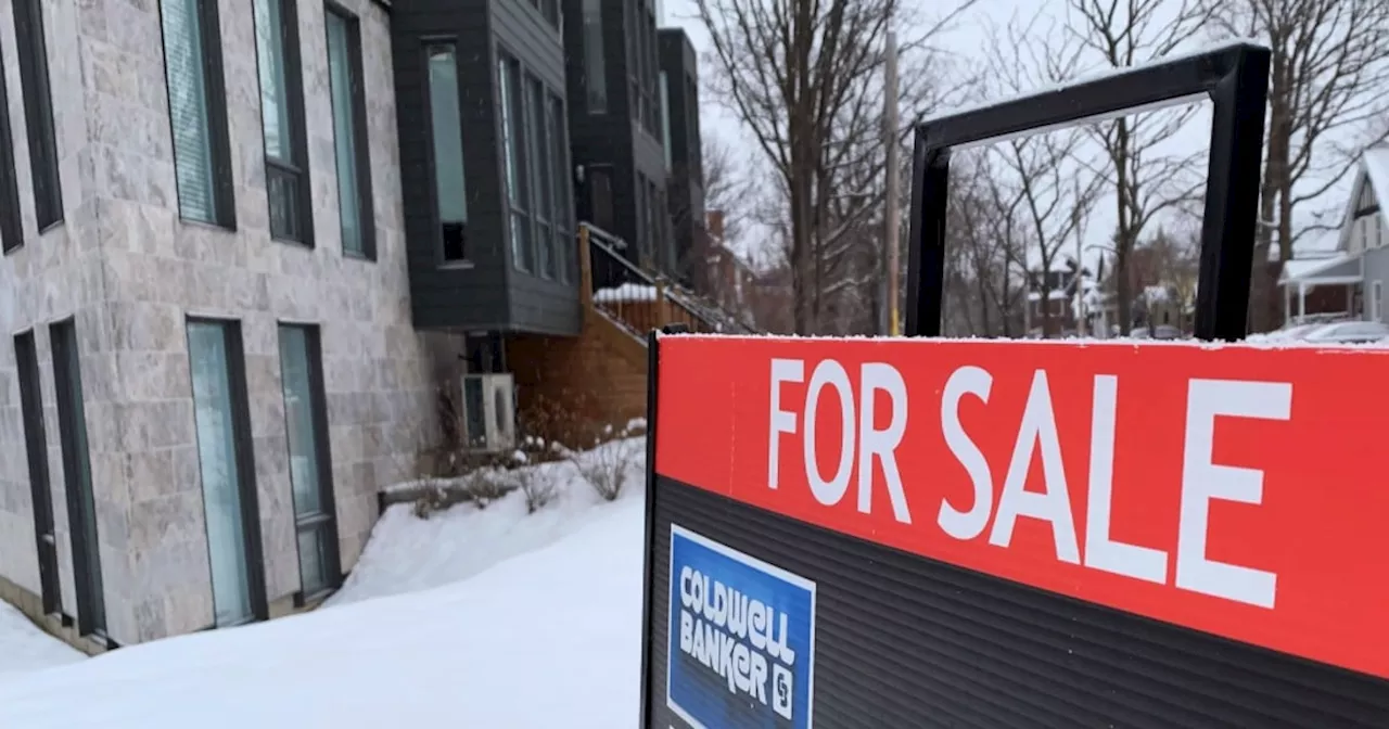 Ottawa Real Estate Market Sees Uptick in Listings and Sales in January