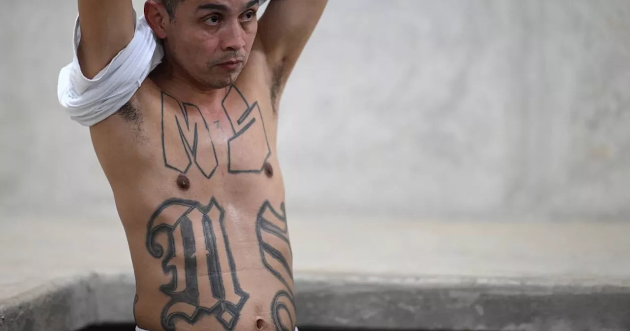 El Salvador's 'Hell on Earth' Prisons: Trump's Controversial Deportation Plan