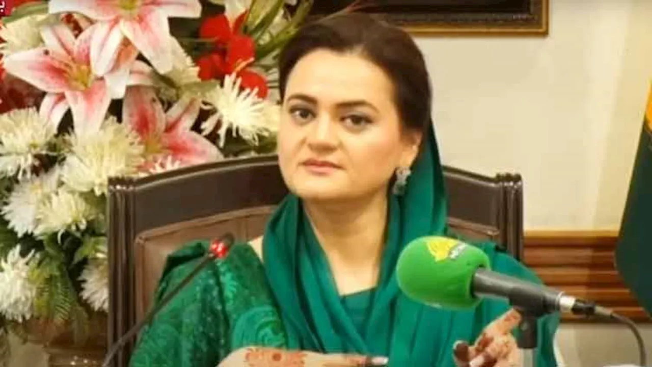 Attempts were made to mislead people regarding Feb 8 elections, says Marriyum Aurangzeb