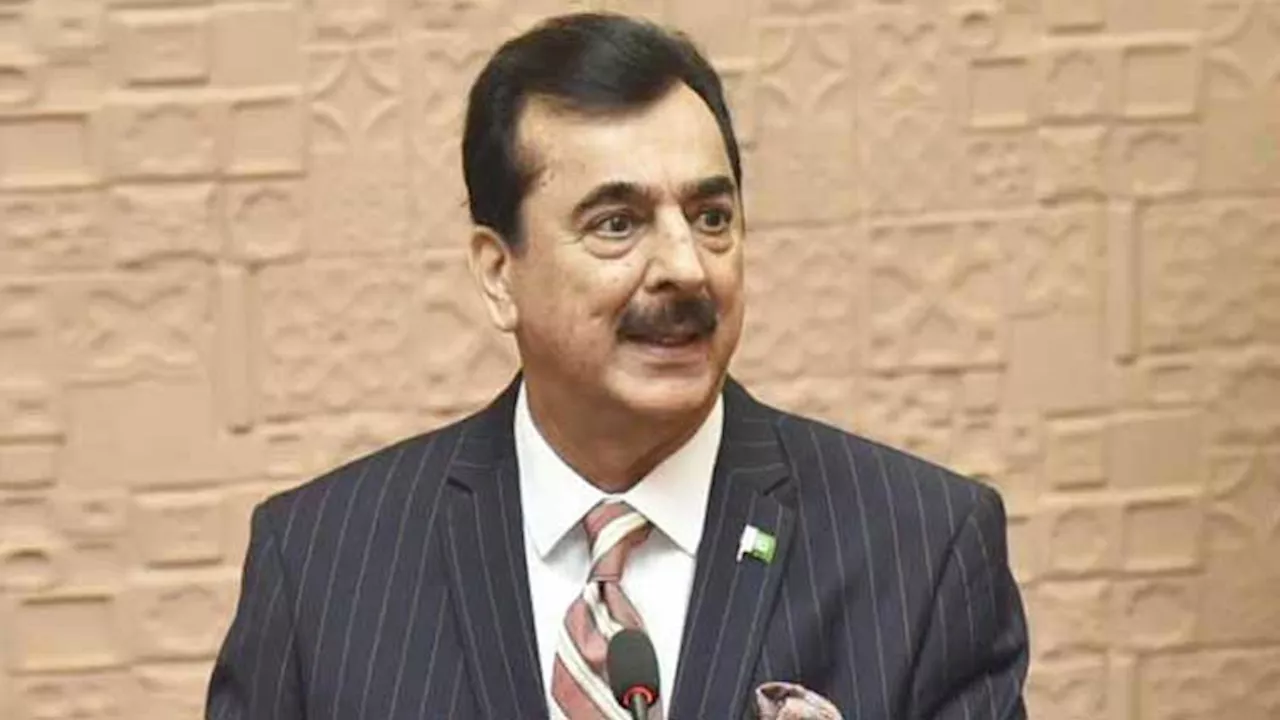 Opportunities available for foreign investors in Pakistan: Yousaf Raza Gilani